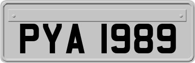 PYA1989