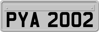 PYA2002