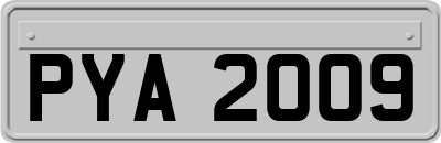 PYA2009