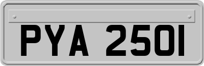 PYA2501