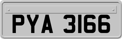 PYA3166