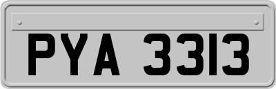 PYA3313