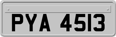 PYA4513