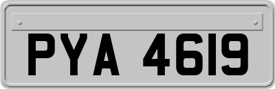 PYA4619