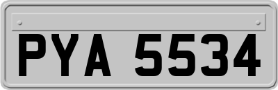 PYA5534