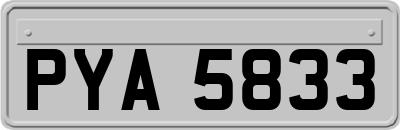 PYA5833