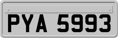 PYA5993