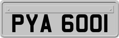 PYA6001