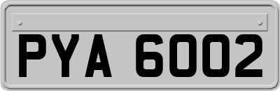 PYA6002