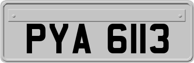 PYA6113
