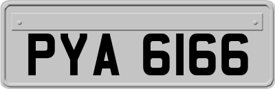 PYA6166