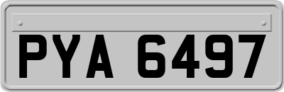 PYA6497