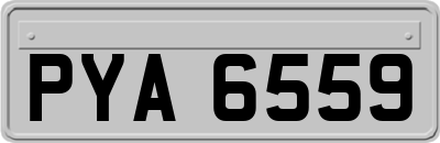 PYA6559