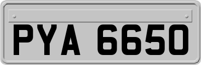 PYA6650