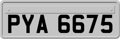 PYA6675