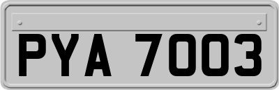 PYA7003