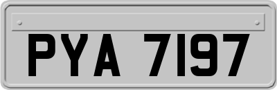 PYA7197