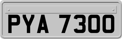 PYA7300