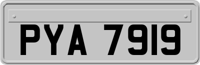 PYA7919