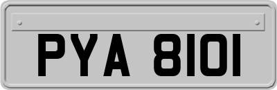 PYA8101