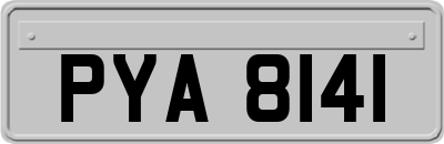 PYA8141