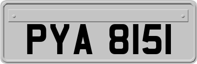 PYA8151