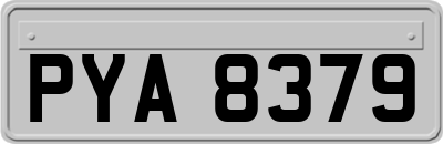 PYA8379