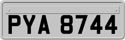 PYA8744