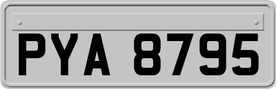 PYA8795