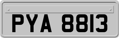 PYA8813