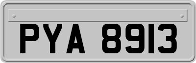 PYA8913