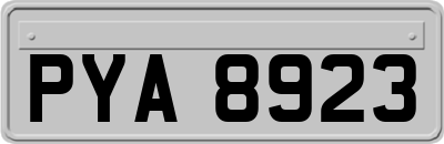 PYA8923