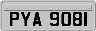 PYA9081