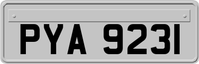 PYA9231