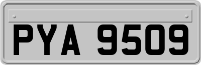 PYA9509