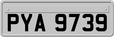 PYA9739