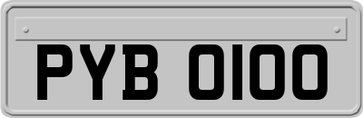 PYB0100