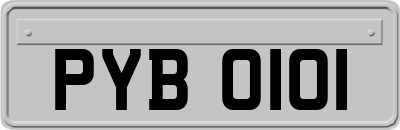 PYB0101