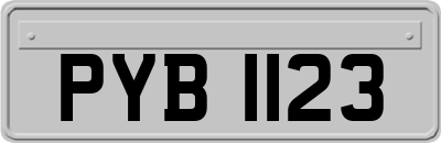 PYB1123
