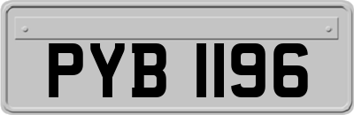 PYB1196