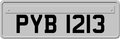PYB1213