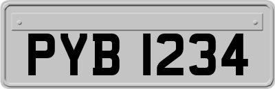 PYB1234