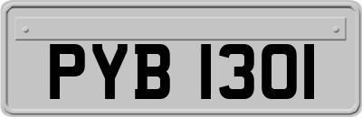 PYB1301