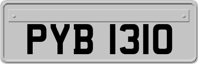 PYB1310