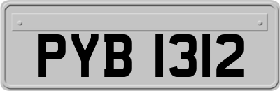 PYB1312