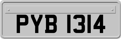 PYB1314