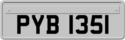 PYB1351