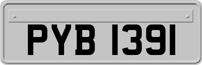 PYB1391