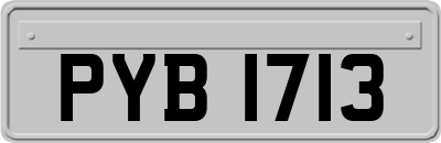 PYB1713