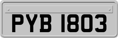 PYB1803